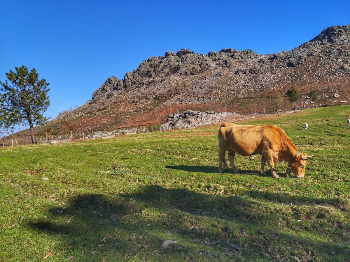 Hogar Gallan Gondomar Kültér fotó